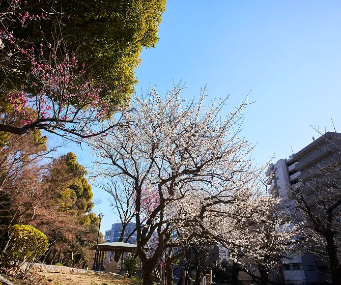 江戸川公園（徒歩4分・約260m）